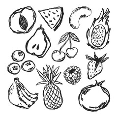 Doodle Fruit Collection