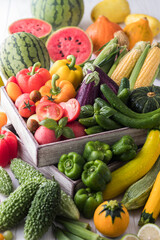 【夏野菜】表情豊かな夏野菜たち。トマト・ズッキーニ・ゴーヤ・オクラ・トウモロコシ・ナス・キュウリ・カボチャ・パプリカ・スイカ