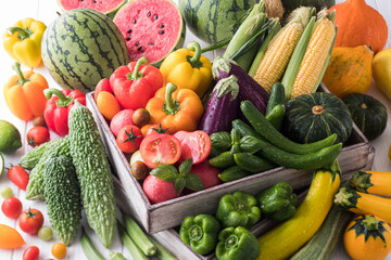 【夏野菜】表情豊かな夏野菜たち。トマト・ズッキーニ・ゴーヤ・オクラ・トウモロコシ・ナス・キュウリ・カボチャ・パプリカ・スイカ