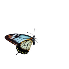 butterfly insect flying isolated for background - ai generated