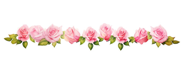 PNG Pink roses flower plant