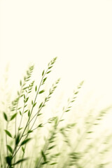 fresh green grass