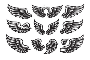 wing set vector 