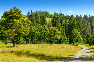 gravel country road in carpathian mountain. remote path through forested countryside of mizhhirya...