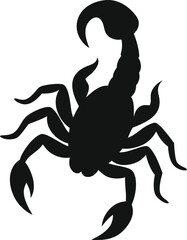 scorpion isolated on white background