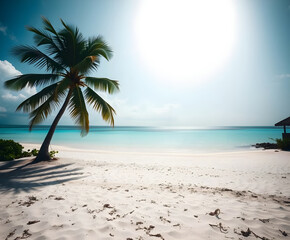 Obraz premium Golden Sunlight on a Leaning Palm Tree by the Beach