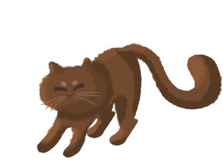 vector illustration of a cat
