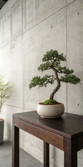 plant in a vase on the table