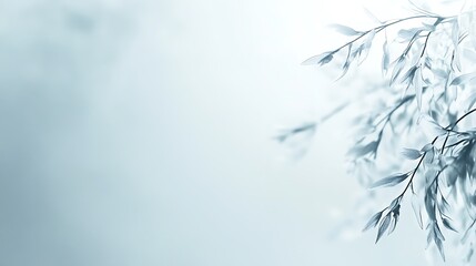 Obraz premium Delicate, light-blue branches and leaves