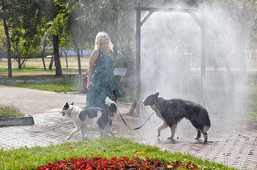 Woman with dogs walks along the city street through a frame with water. Pet owner takes care of his laika during hot sunny day