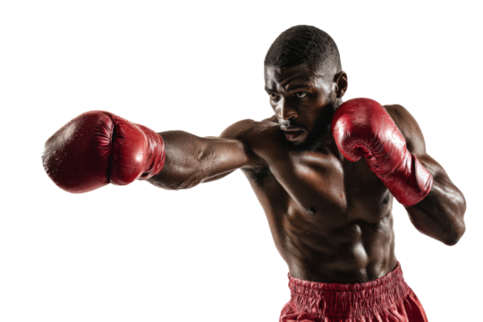 Male boxer in red gloves punching right fist on isolated background