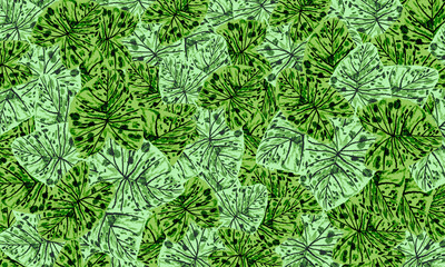 Green  tropical   leaves   spring nature  wallpaper  background
