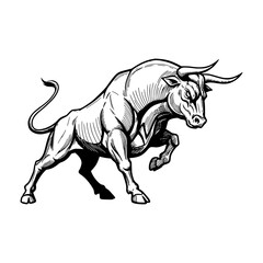 Black and white Bull Illustration.