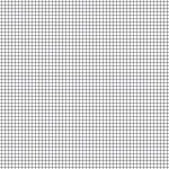 Mosquito net seamless pattern. Squared mesh texture. Fish fabric background. Mosquito window lace. Protection flying insect plastic net. Line grid. Vector illustration isolated on white background. © Elena Pimukova