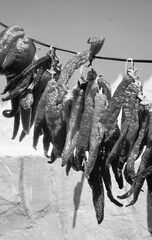 Obraz premium Dried Red Chili Peppers Hanging Outdoors Close Up Monochrome Vertical Composition