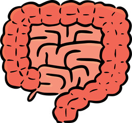 Illustration of intestine
