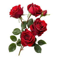 Red roses arranged beautifully show love and affection in a floral display perfect for any occasion