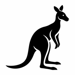 kangaroo vector illustration