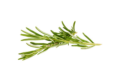 Fototapeta premium bunch of rosemary twigs, kitchen cooking spices isolated on white or transparent png