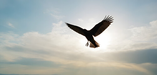 Obraz premium Graceful bird flying silhouette against clear background. 