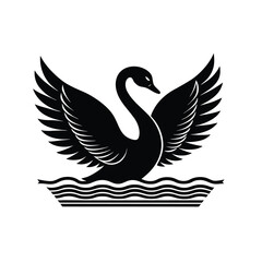 black swan vector illustration