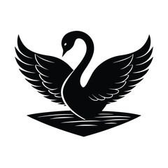 black swan vector illustration