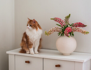 A bouquet of lupines in a ceramic vase and a beautiful red cat on a white chest of drawers in the living room