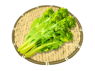 菜の花（食用）ザル付き