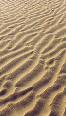 Sand patterns, Rajasthan, India