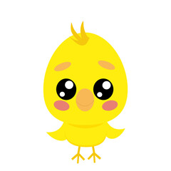 Cute Cartoon Chick on White Background