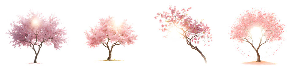 Obraz premium Beautiful cherry blossom trees showcasing vibrant pink blossoms, delicate branches, and serene natural elegance, perfect for nature-inspired designs and artistic illustrations