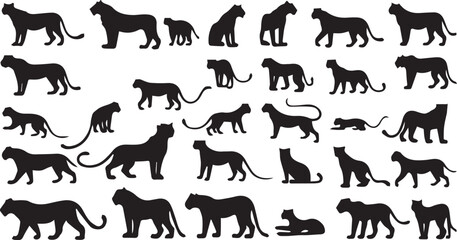 Big Cat Silhouettes Collection – Panther, Cheetah, Tiger & Leopard Poses © Noy