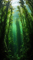 Underwater kelp forest thriving with marine life in a serene ocean environment