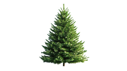 Fototapeta premium Christmas tree clipart on transparent background, png