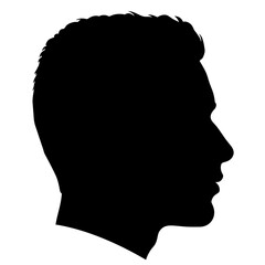 Flat Black Silhouette Vectors of Human Body and Internal Organs on White Background