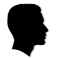 Flat Black Silhouette Vectors of Human Body and Internal Organs on White Background