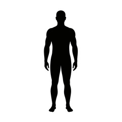 Flat Black Silhouette Vectors of Human Body and Internal Organs on White Background