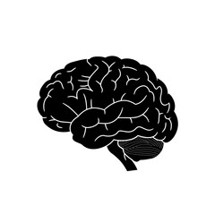 Flat Black Silhouette Vectors of Human Body and Internal Organs on White Background