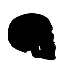 Flat Black Silhouette Vectors of Human Body and Internal Organs on White Background