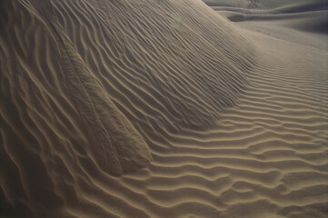 sand dunes thar desert sam sand dune jaisalmer rajasthan India