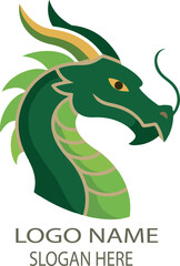 Dragon logo vector .