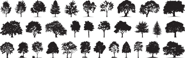 Tree Silhouettes Vector Set, Isolated on White Background.