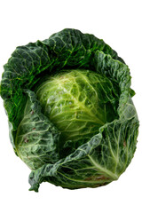 Obraz premium Cabbage: A vibrant image of a head of cabbage.