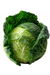 Fototapeta premium Fresh Head of Cabbage: An eye-level shot unveils a fresh, vibrant head of cabbage, capturing the intricate details of its textured leaves, showcasing the natural beauty of this versatile vegetable.