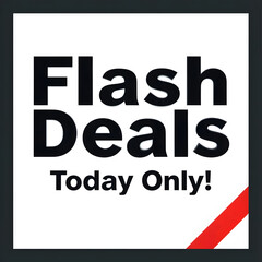 Obraz premium Promotional Sign Featuring Flash Deals for One Day Only