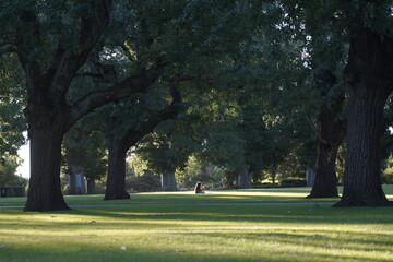 A person sitting in the public park.