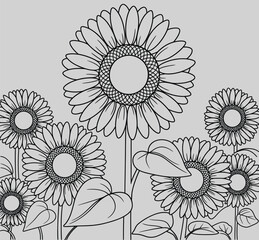 Sunflowers Sketch in Field: A detailed sketch of several sunflowers in a field showcases intricate details, emphasizing their graceful forms and the essence of natural beauty
