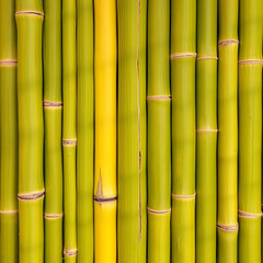 Natural Green Bamboo Texture with Vertical Nodes and Smooth Surface
