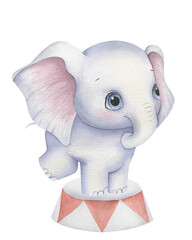A cute watercolor elephant stands on a circus pedestal with red and white triangular patterns. He has large expressive eyes and pinkish ears, which gives him a friendly appearance. 