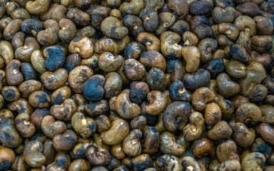 Freshlly harvested cashew nuts separated from their fleshy fruit but still retaining their toxic skin, Phuket, Thailand